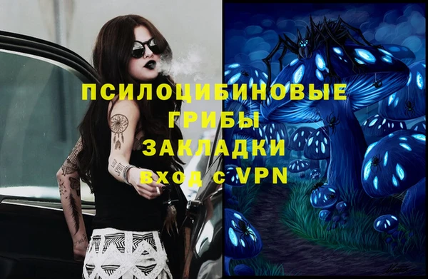 амф Магас