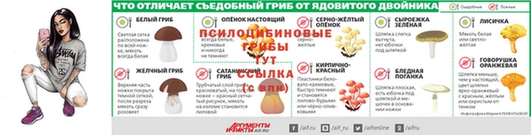 ПСИЛОЦИБИНОВЫЕ ГРИБЫ Долгопрудный