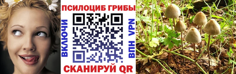 kraken   Щигры  Псилоцибиновые грибы мухоморы  купить наркоту 